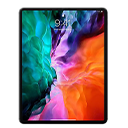 iPad Pro 12.9" (4th Gen)