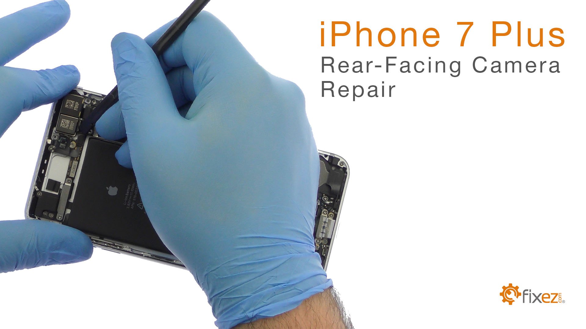 iPhone 7 Plus Rear-Facing Camera Repair