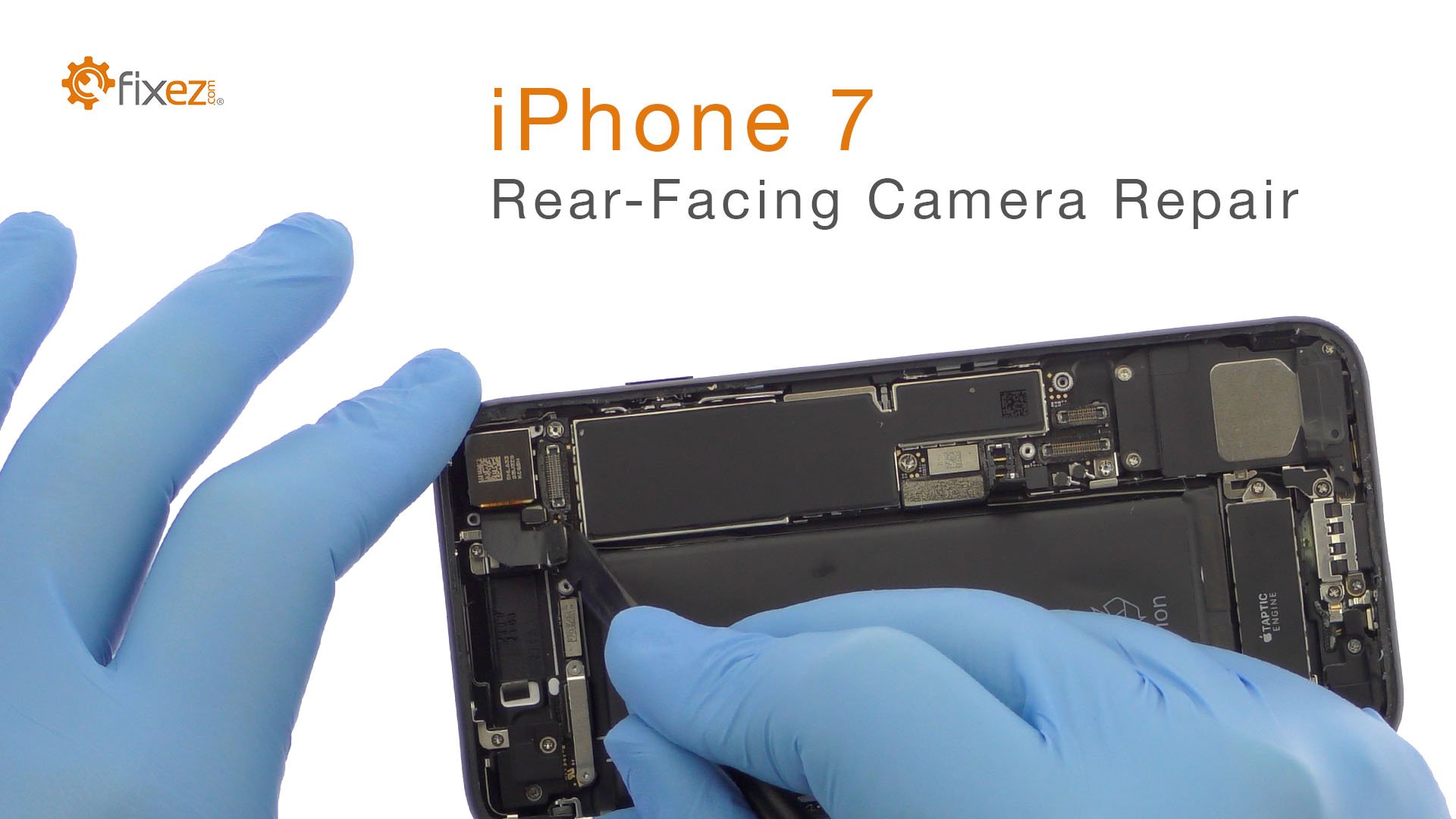 iPhone 7 Rear-Facing Camera Repair