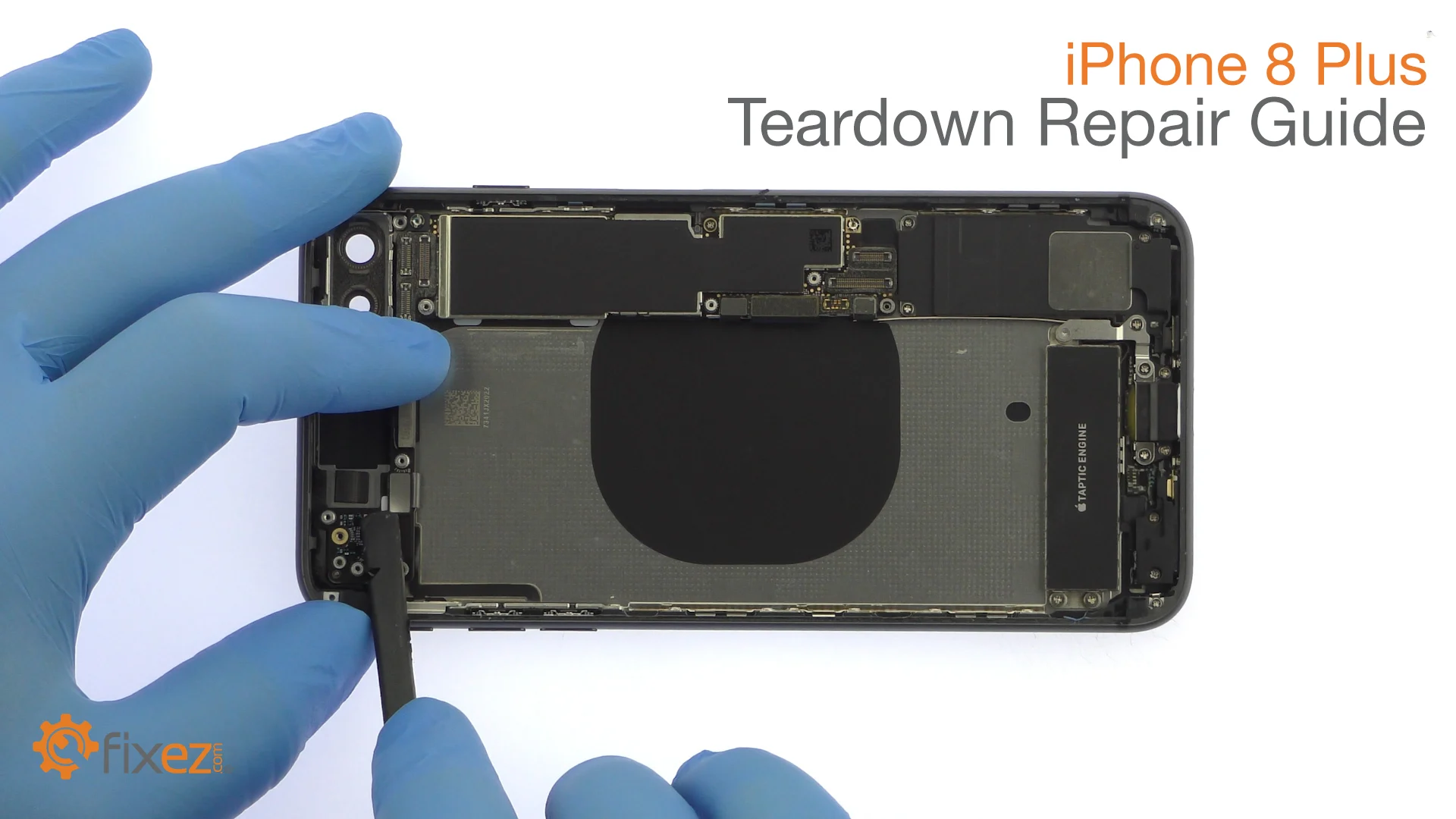 iPhone 8 Plus Teardown