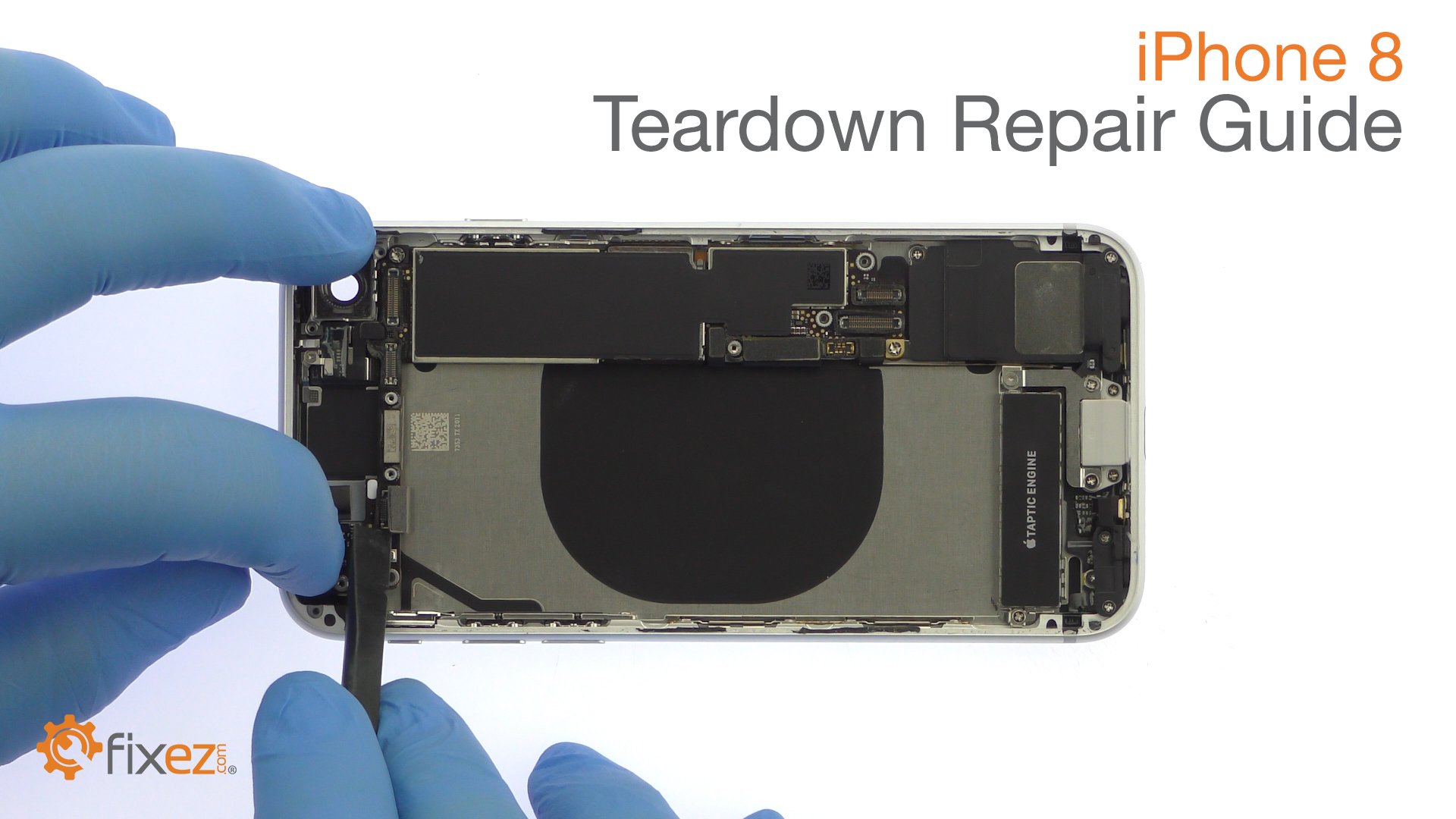 iPhone 8 Teardown