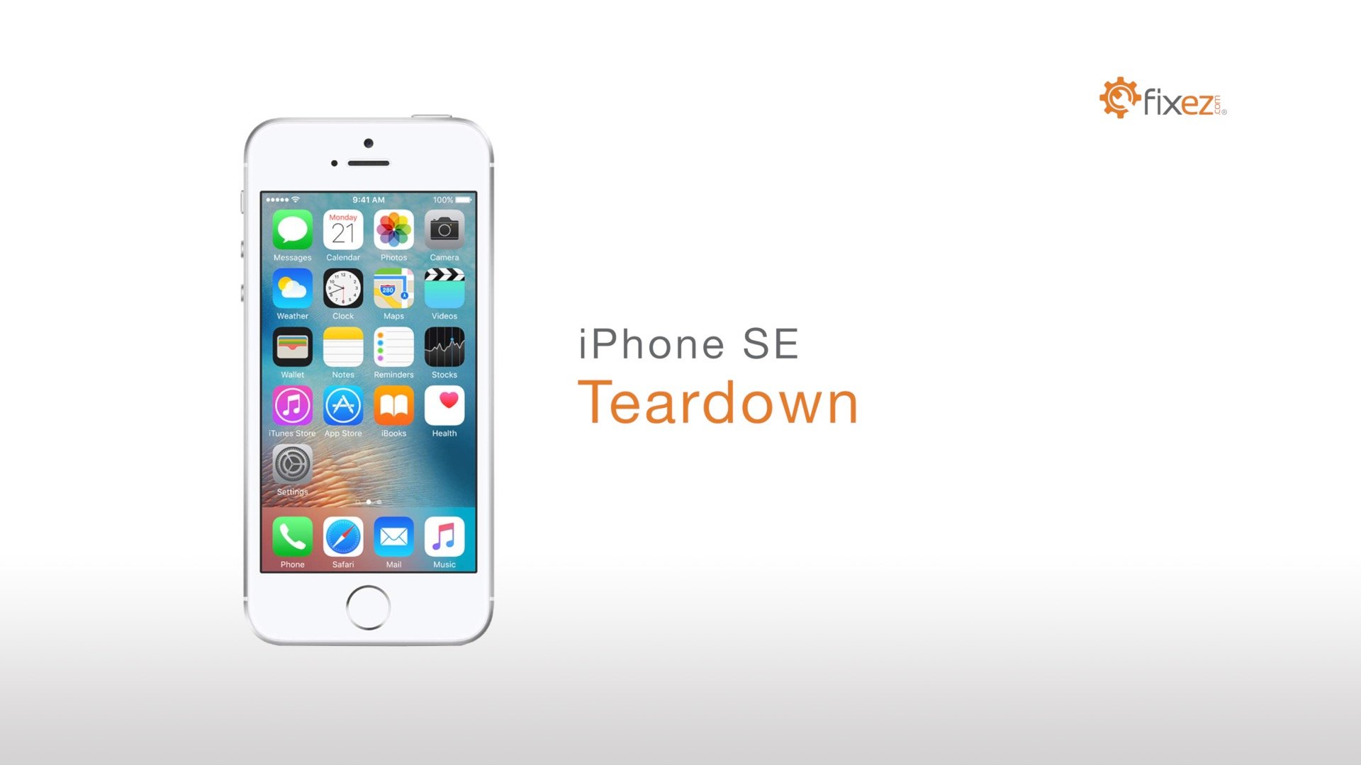 iPhone SE Teardown