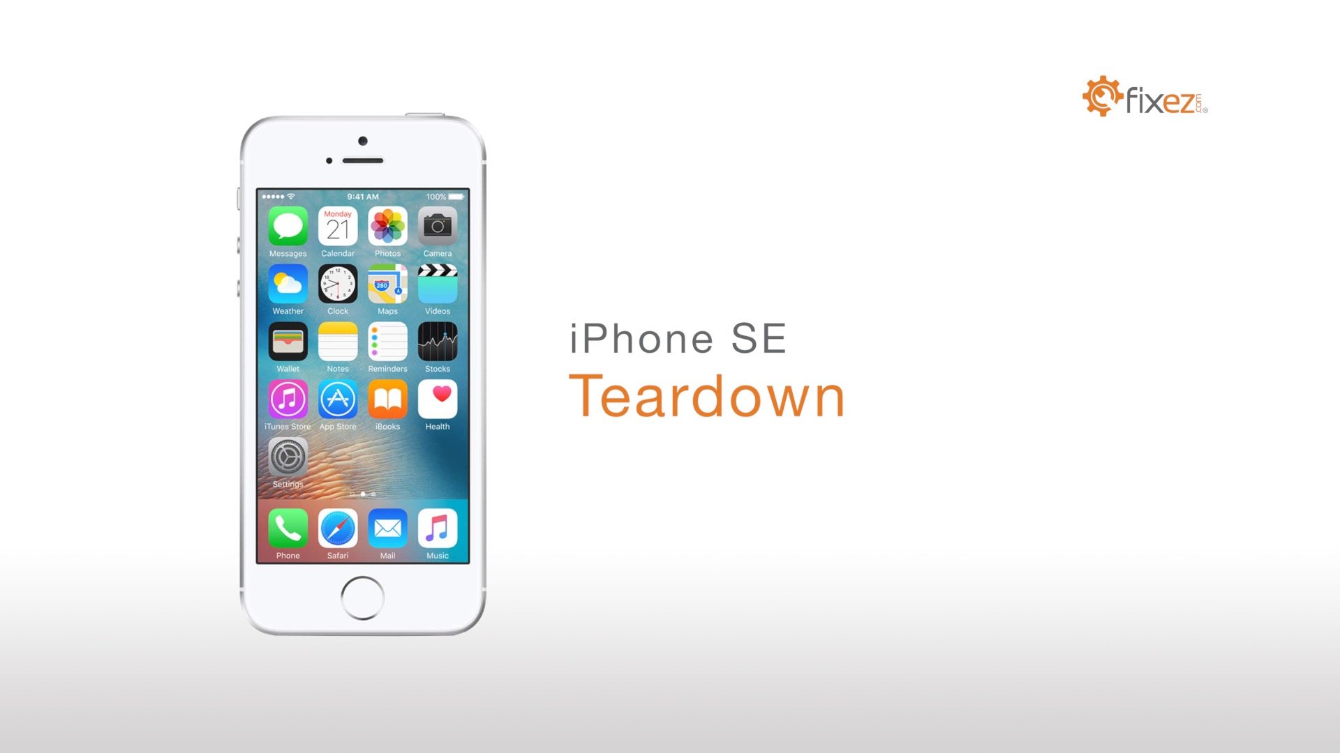 iPhone SE Teardown
