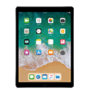 iPad Pro 12.9" (2nd Gen)