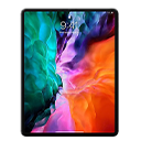 iPad Pro 12.9" (4th Gen / 2020)