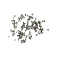 iPhone 7 Shield Plate Screws (200 Pack)