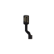 iPhone 8 Wifi Flex to Charging Port Transition Flex