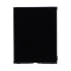 iPad 6 LCD Screen Replacement