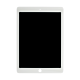 iPad Air 2 Display Assembly (LCD and Touch Screen) - White (Aftermarket)