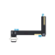 iPad Air 2 Black Lightning Connector