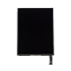 iPad Mini LCD Screen