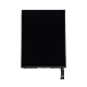 iPad Mini LCD Screen