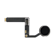 iPad Pro 9.7