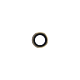 iPhone 6s Gold Rear-Facing Camera Lens Cover