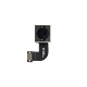 iPhone 7 Rear-Facing Camera