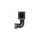 iPhone 8 Rear-Facing Camera
