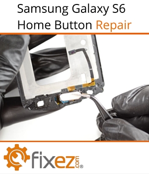 A step by step guide to replacing your samsung galaxy s6 home button samsung galaxy s6 home button repair